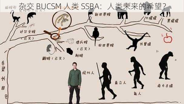 杂交 BUCSM 人类 SSBA：人类未来的希望？