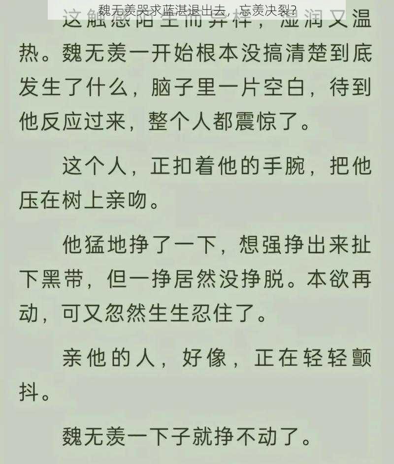 魏无羡哭求蓝湛退出去，忘羡决裂？