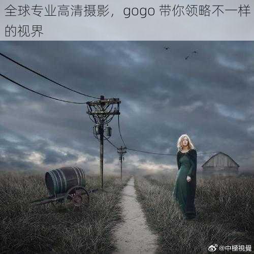 全球专业高清摄影，gogo 带你领略不一样的视界