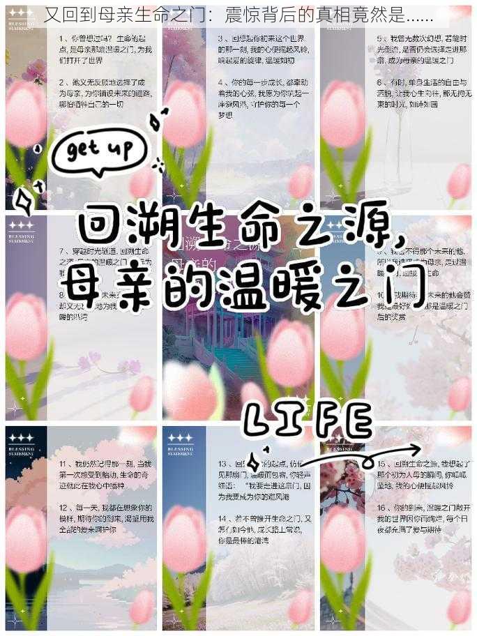 又回到母亲生命之门：震惊背后的真相竟然是……