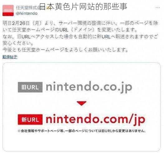 日本黄色片网站的那些事