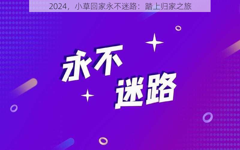 2024，小草回家永不迷路：踏上归家之旅