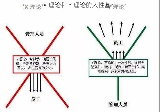 X 理论和 Y 理论的人性基础