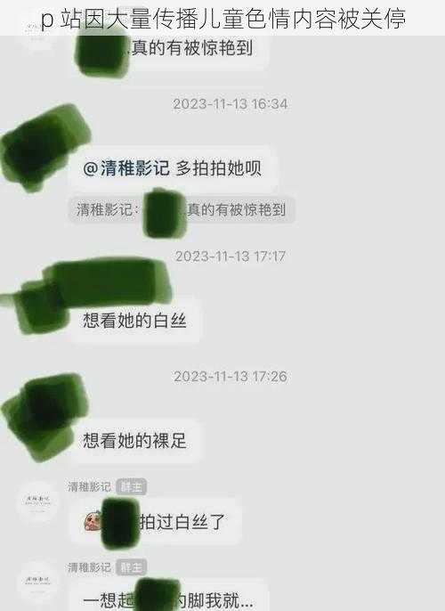 p 站因大量传播儿童色情内容被关停