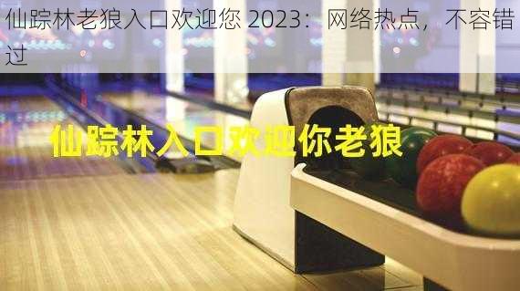 仙踪林老狼入口欢迎您 2023：网络热点，不容错过