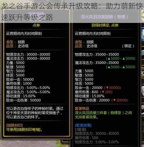 龙之谷手游公会传承升级攻略：助力萌新快速跃升等级之路
