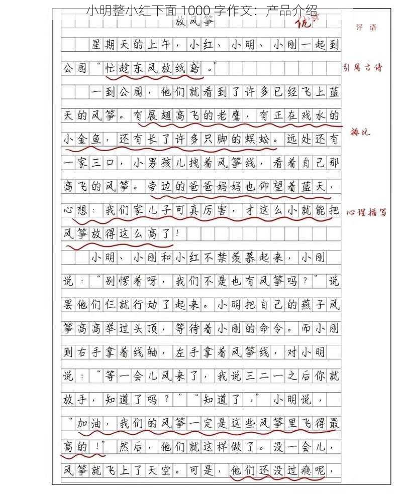 小明整小红下面 1000 字作文：产品介绍