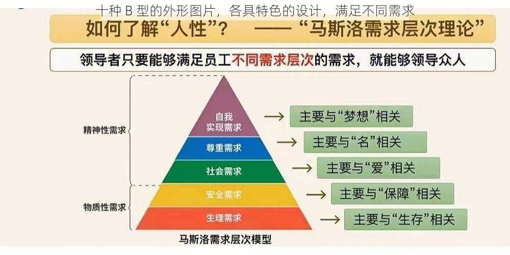 十种 B 型的外形图片，各具特色的设计，满足不同需求