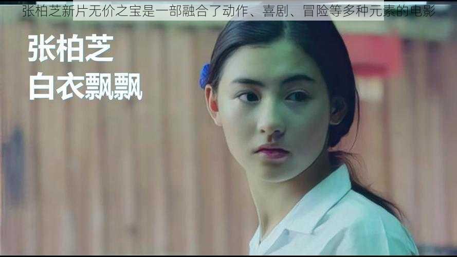 张柏芝新片无价之宝是一部融合了动作、喜剧、冒险等多种元素的电影