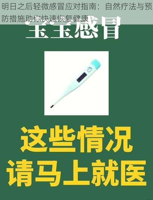 明日之后轻微感冒应对指南：自然疗法与预防措施助你快速恢复健康