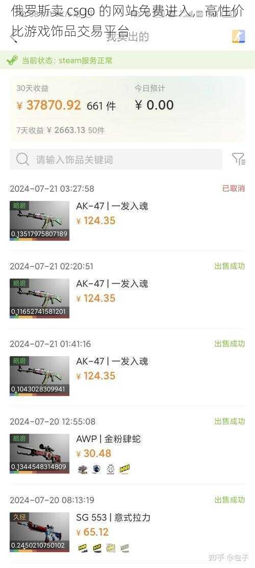 俄罗斯卖 csgo 的网站免费进入，高性价比游戏饰品交易平台