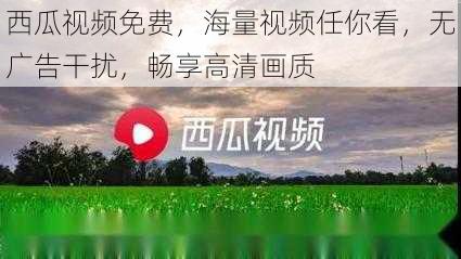 西瓜视频免费，海量视频任你看，无广告干扰，畅享高清画质