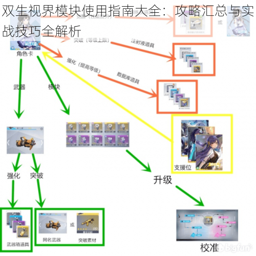 双生视界模块使用指南大全：攻略汇总与实战技巧全解析