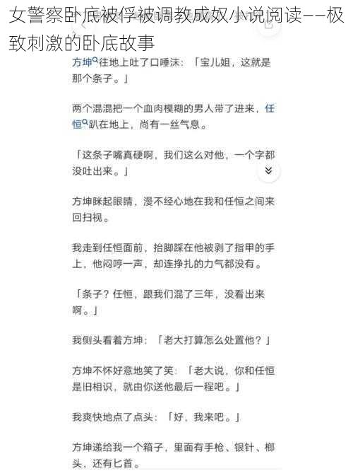 女警察卧底被俘被调教成奴小说阅读——极致刺激的卧底故事