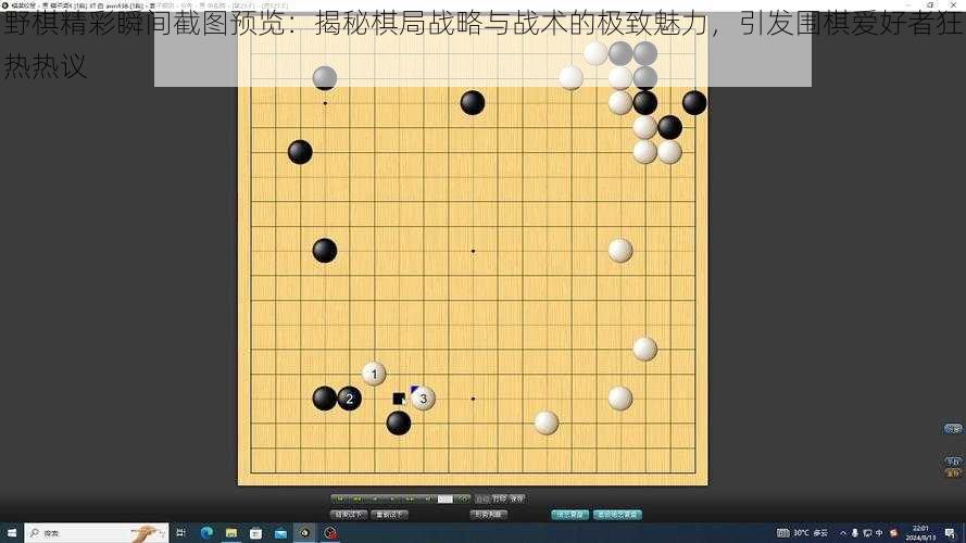 野棋精彩瞬间截图预览：揭秘棋局战略与战术的极致魅力，引发围棋爱好者狂热热议