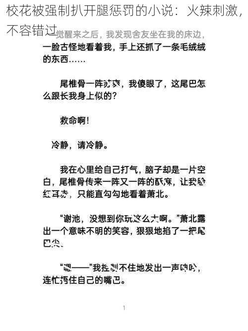 校花被强制扒开腿惩罚的小说：火辣刺激，不容错过