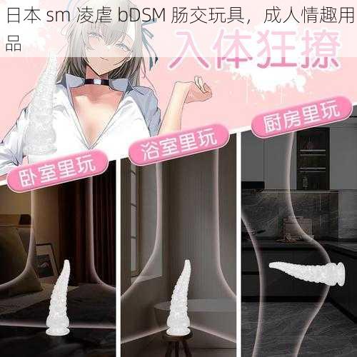 日本 sm 凌虐 bDSM 肠交玩具，成人情趣用品