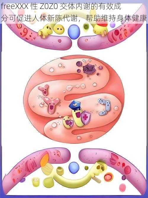 freeXXX 性 Z0Z0 交体内谢的有效成分可促进人体新陈代谢，帮助维持身体健康