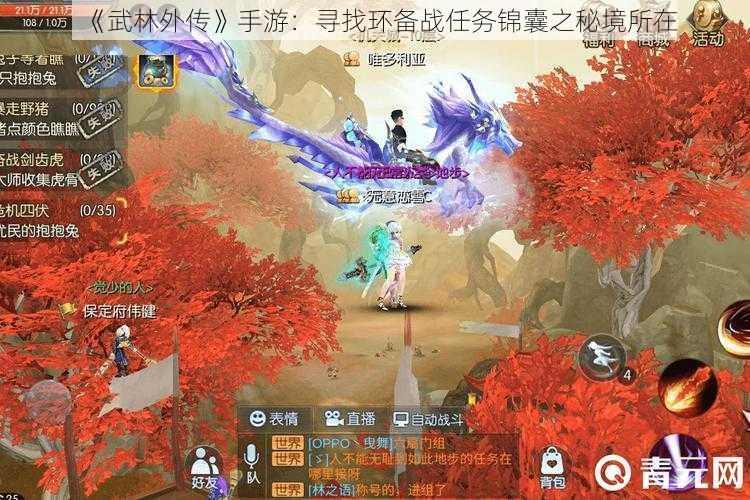 《武林外传》手游：寻找环备战任务锦囊之秘境所在