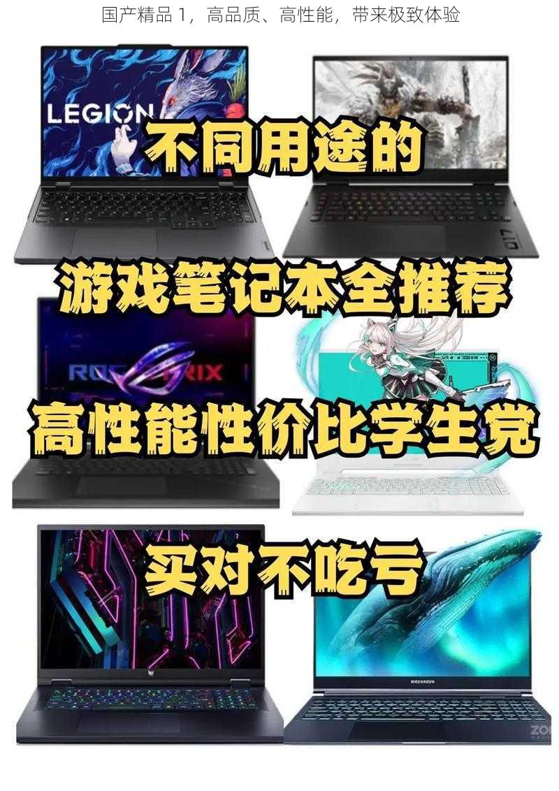 国产精品 1，高品质、高性能，带来极致体验