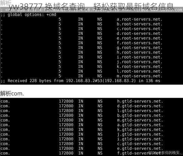 yw38777 换域名查询，轻松获取最新域名信息
