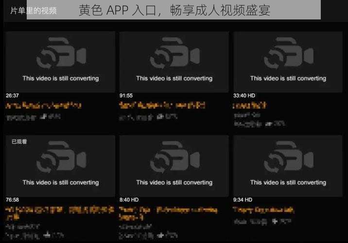 黄色 APP 入口，畅享成人视频盛宴