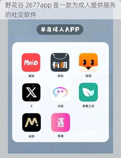 野花谷 2677app 是一款为成人提供服务的社交软件