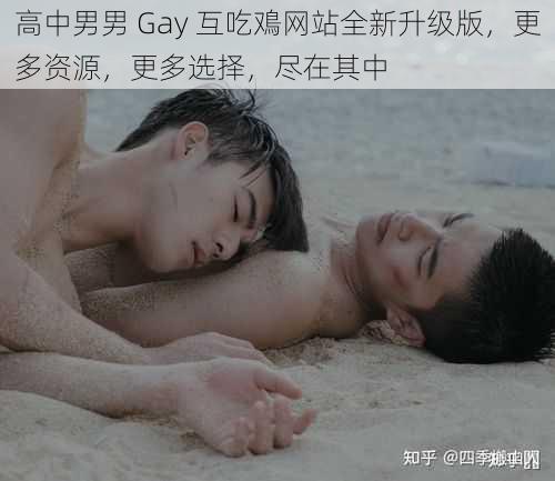 高中男男 Gay 互吃鳮网站全新升级版，更多资源，更多选择，尽在其中