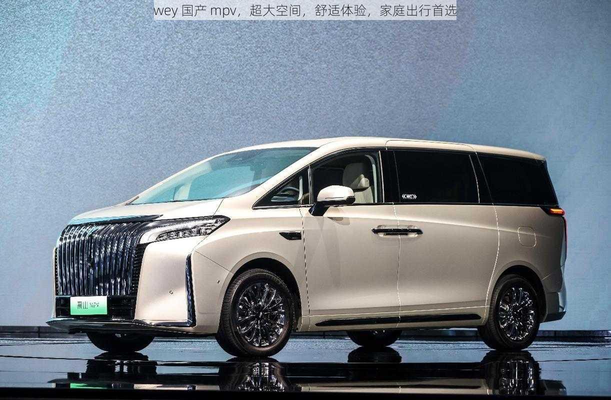 wey 国产 mpv，超大空间，舒适体验，家庭出行首选