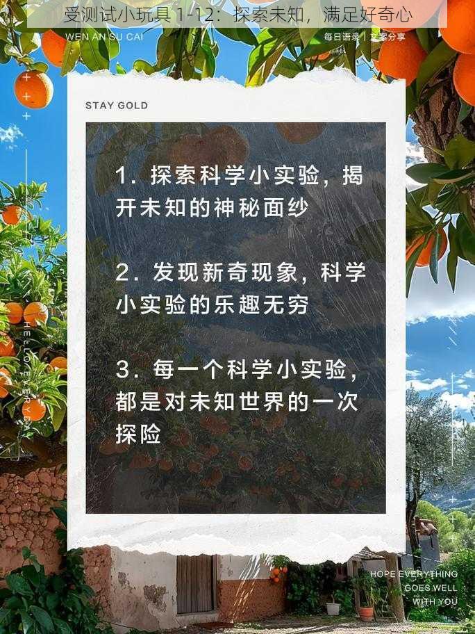 受测试小玩具 1-12：探索未知，满足好奇心