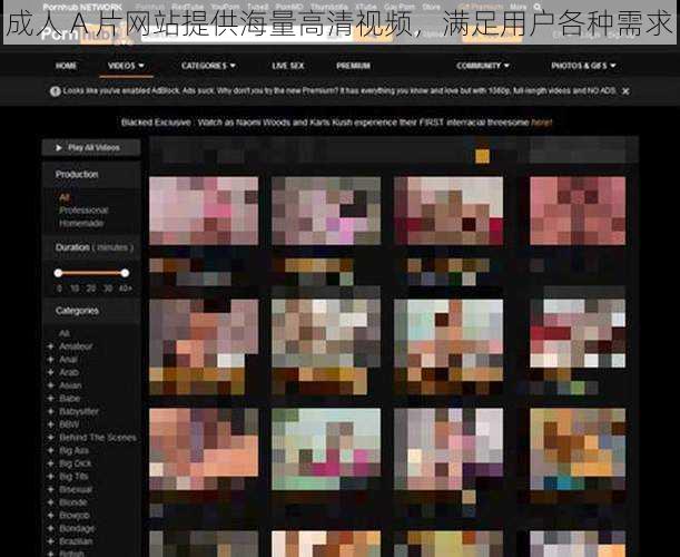 成人 A 片网站提供海量高清视频，满足用户各种需求