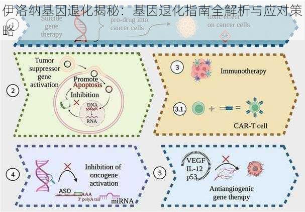 伊洛纳基因退化揭秘：基因退化指南全解析与应对策略