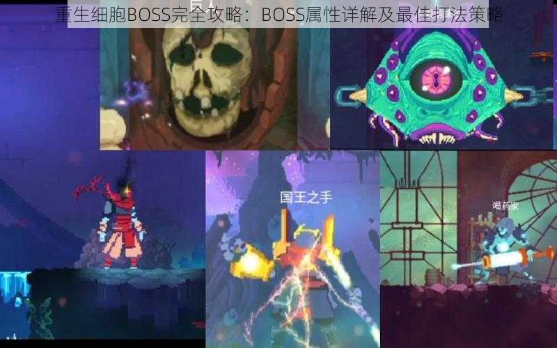 重生细胞BOSS完全攻略：BOSS属性详解及最佳打法策略