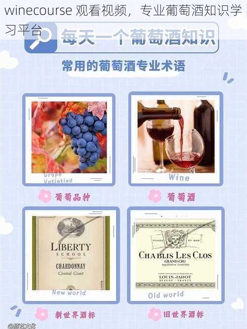 winecourse 观看视频，专业葡萄酒知识学习平台