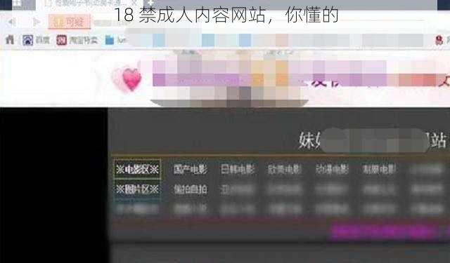 18 禁成人内容网站，你懂的