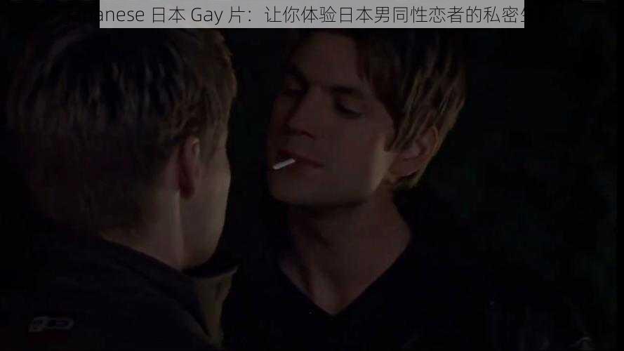 Japanese 日本 Gay 片：让你体验日本男同性恋者的私密生活