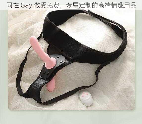 同性 Gay 做受免费，专属定制的高端情趣用品