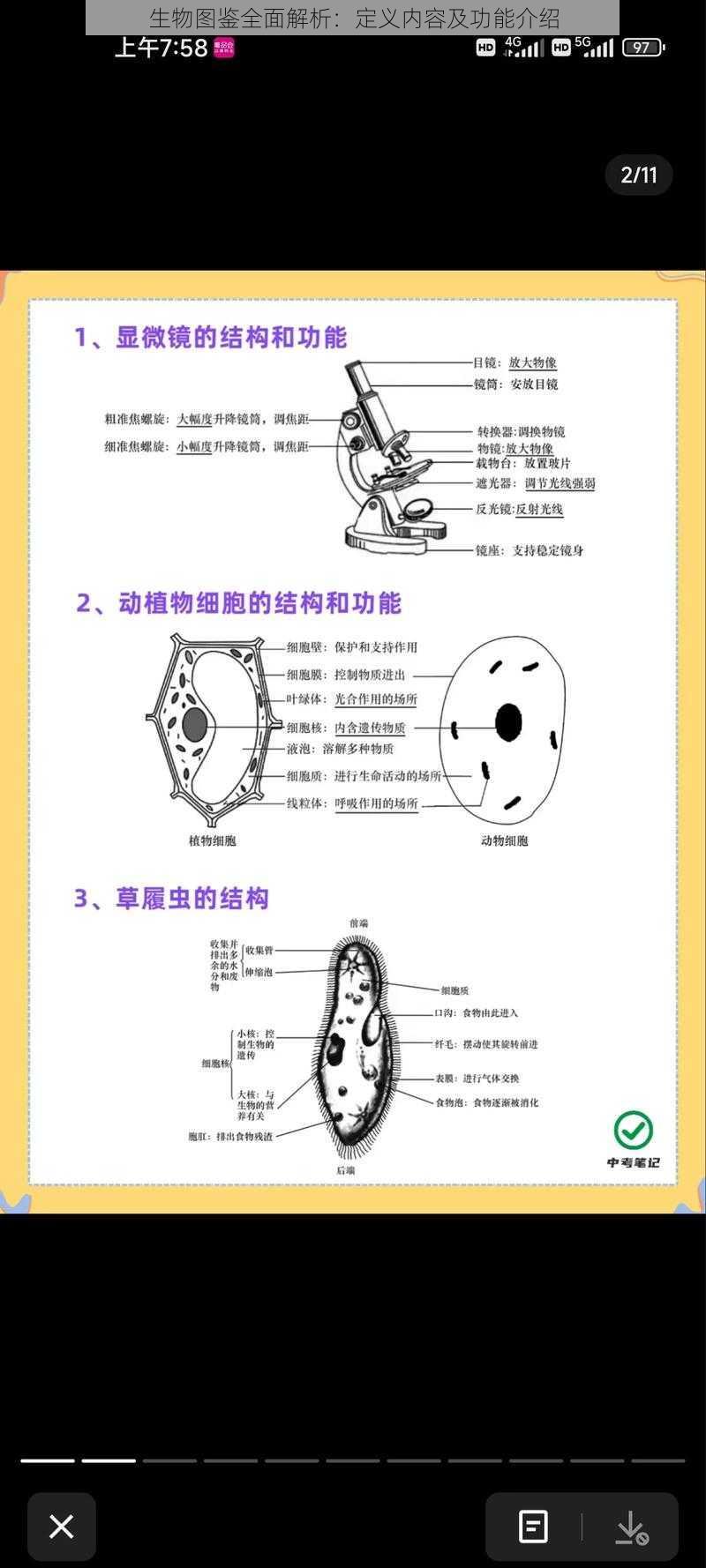 生物图鉴全面解析：定义内容及功能介绍