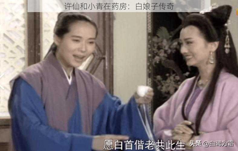 许仙和小青在药房：白娘子传奇