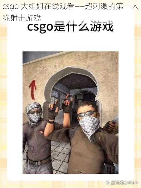 csgo 大姐姐在线观看——超刺激的第一人称射击游戏