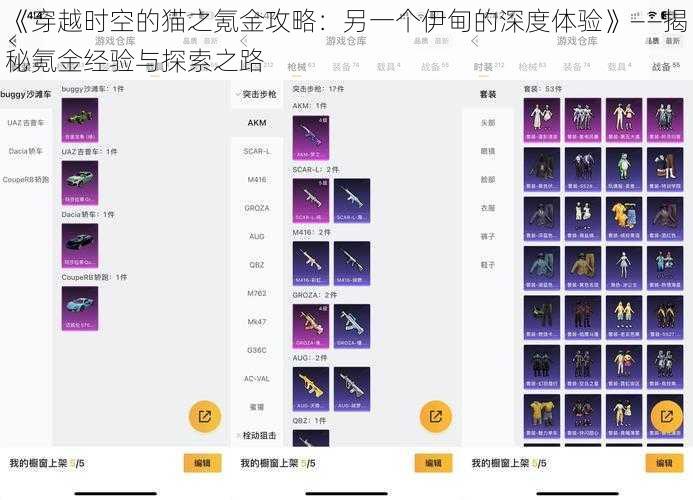 《穿越时空的猫之氪金攻略：另一个伊甸的深度体验》——揭秘氪金经验与探索之路