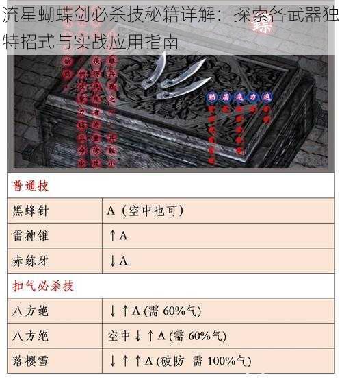 流星蝴蝶剑必杀技秘籍详解：探索各武器独特招式与实战应用指南