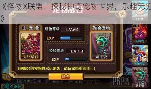 《怪物X联盟：探秘神奇宠物世界，乐趣无穷》