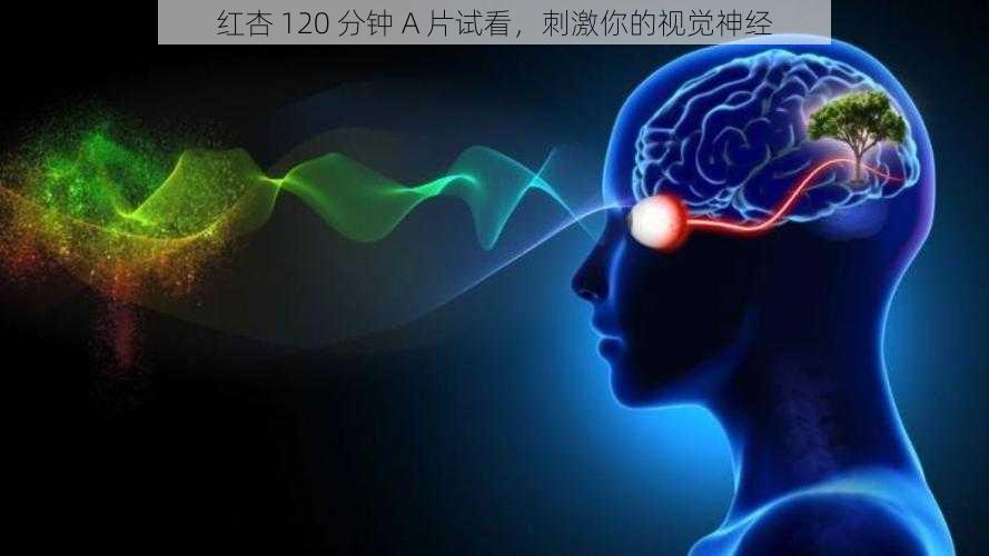 红杏 120 分钟 A 片试看，刺激你的视觉神经