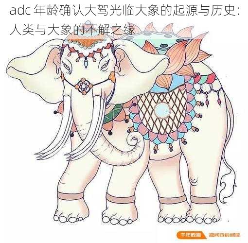 adc 年龄确认大驾光临大象的起源与历史：人类与大象的不解之缘