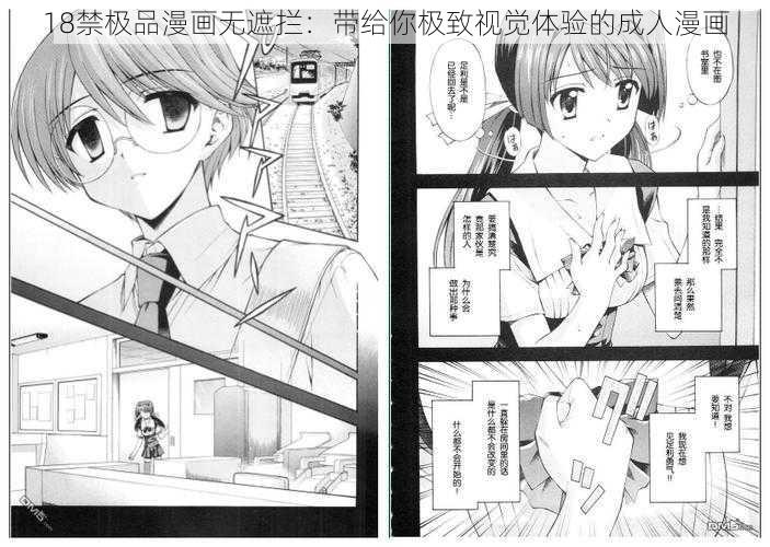 18禁极品漫画无遮拦：带给你极致视觉体验的成人漫画