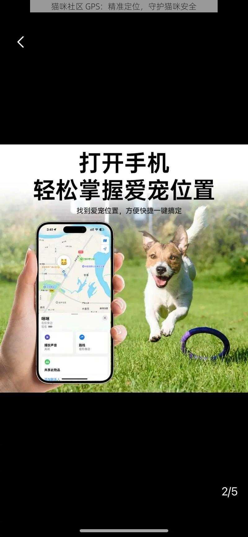 猫咪社区 GPS：精准定位，守护猫咪安全