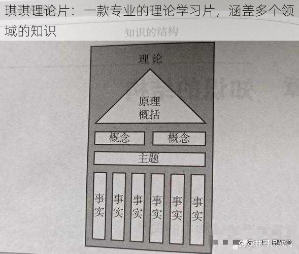 琪琪理论片：一款专业的理论学习片，涵盖多个领域的知识