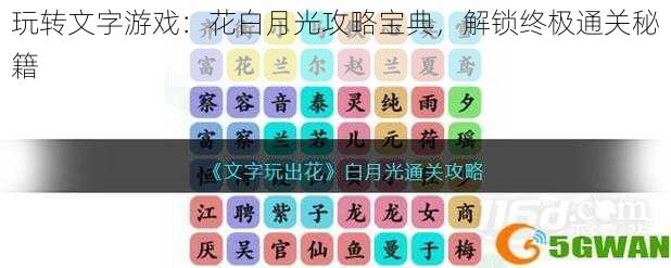 玩转文字游戏：花白月光攻略宝典，解锁终极通关秘籍