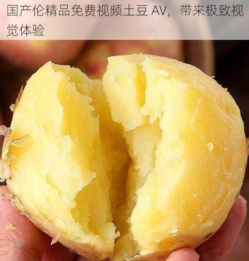 国产伦精品免费视频土豆 AV，带来极致视觉体验